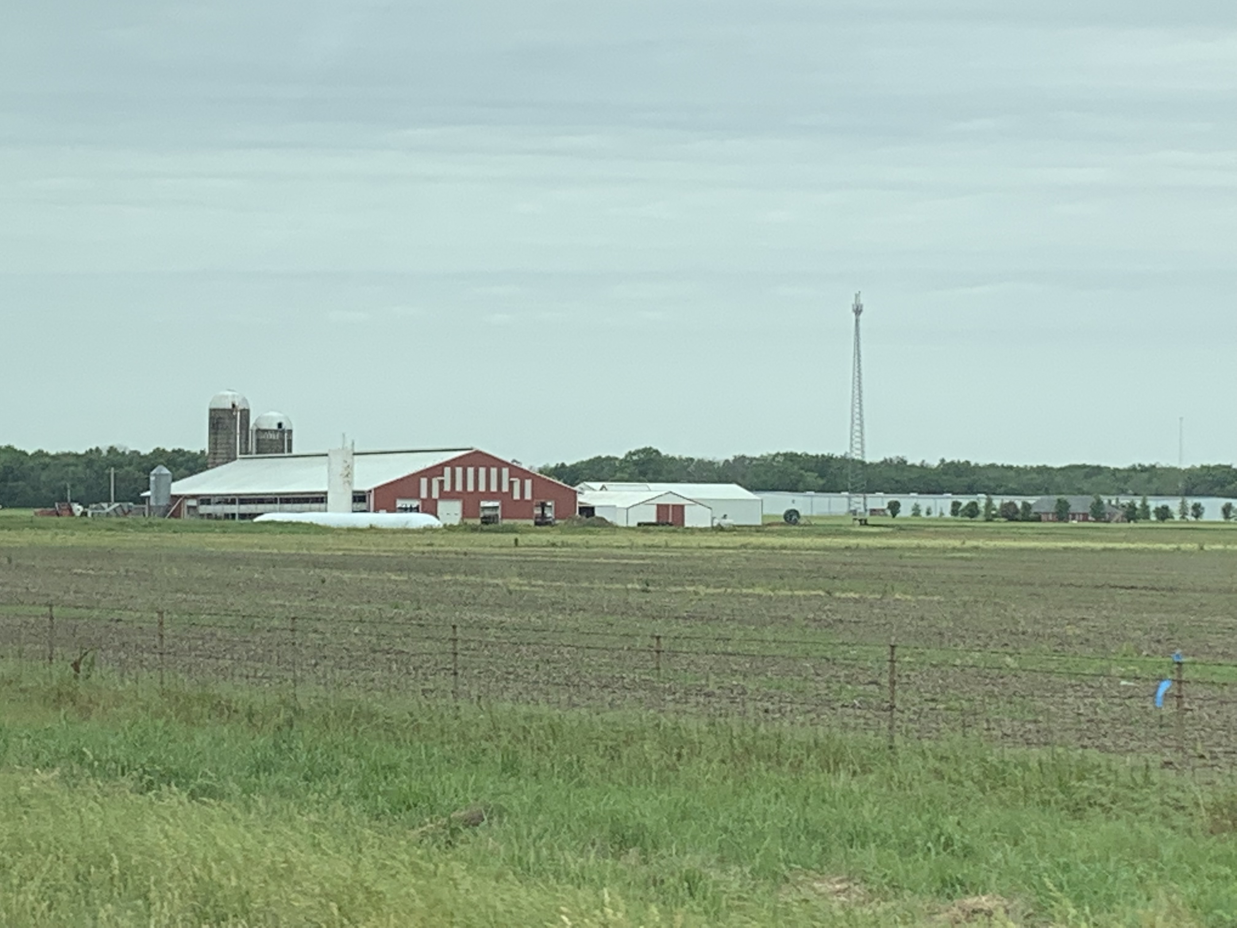 ./2022/06 - St Louis/02 - Day 2/20220522-110204393.JPG